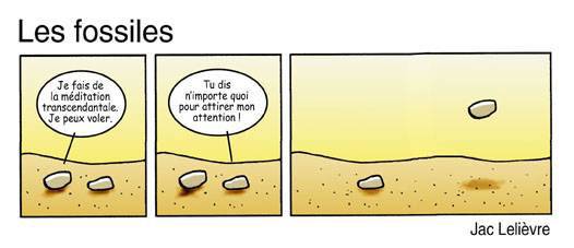 fossiles